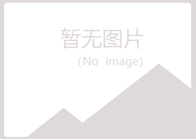 偃师岑迷能源有限公司